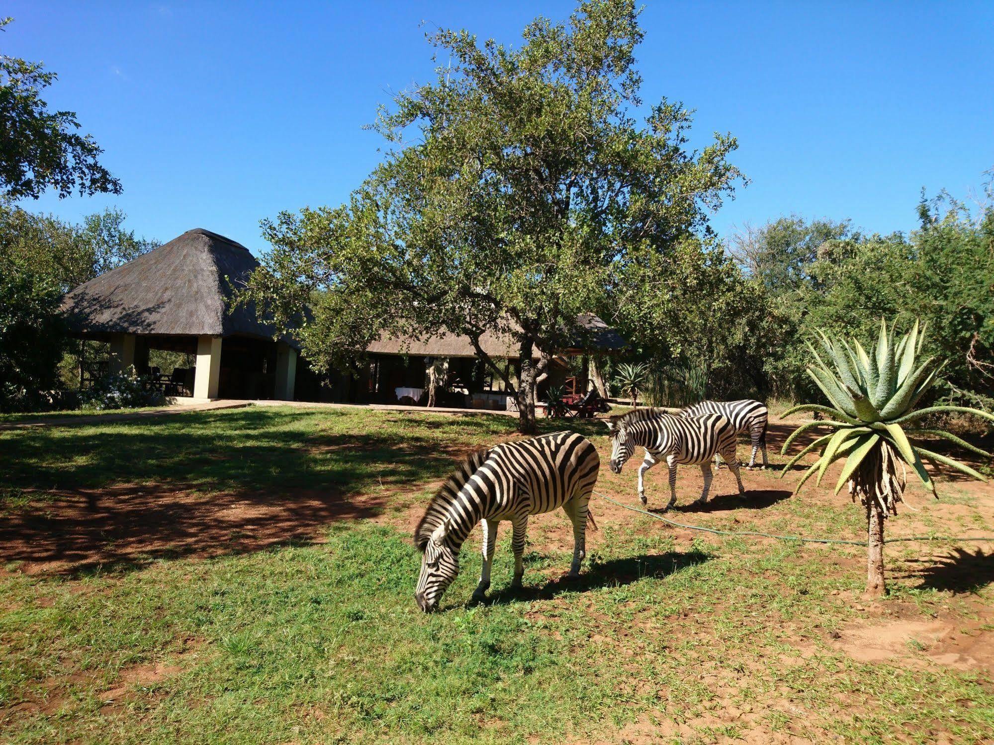 Royal Kruger Lodge Marloth Park Extérieur photo
