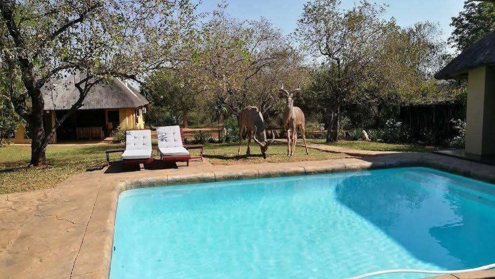 Royal Kruger Lodge Marloth Park Extérieur photo
